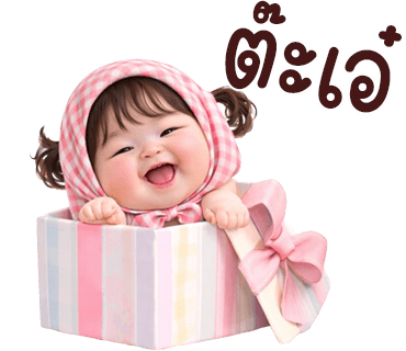 ลายที่ 31