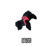 832518030