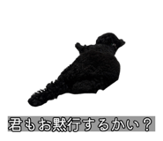 832518034