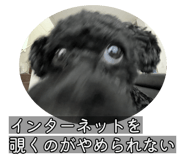 832518042