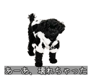 832518049