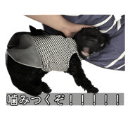 832518050