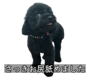 832518061