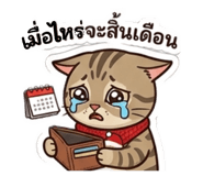 832520505