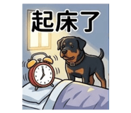 832522806