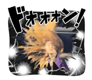 832525717