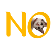 832526975