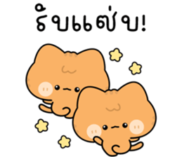 โมโมะ แมวเหมียวน่ารัก ติดตลก รูปที่ 1