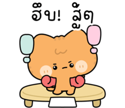โมโมะ แมวเหมียวน่ารัก ติดตลก รูปที่ 3