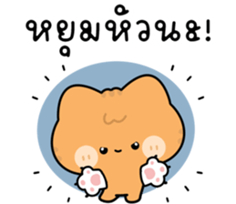 โมโมะ แมวเหมียวน่ารัก ติดตลก รูปที่ 6