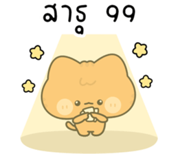 โมโมะ แมวเหมียวน่ารัก ติดตลก รูปที่ 7