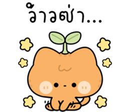 โมโมะ แมวเหมียวน่ารัก ติดตลก รูปที่ 10