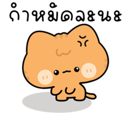 โมโมะ แมวเหมียวน่ารัก ติดตลก รูปที่ 11