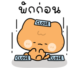 โมโมะ แมวเหมียวน่ารัก ติดตลก รูปที่ 12