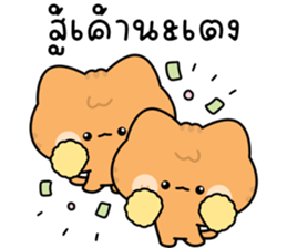 โมโมะ แมวเหมียวน่ารัก ติดตลก รูปที่ 13