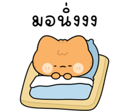 โมโมะ แมวเหมียวน่ารัก ติดตลก รูปที่ 15