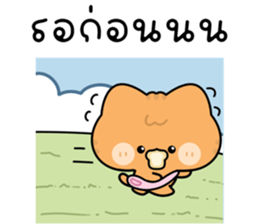 โมโมะ แมวเหมียวน่ารัก ติดตลก รูปที่ 16