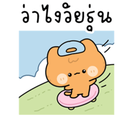 โมโมะ แมวเหมียวน่ารัก ติดตลก รูปที่ 17