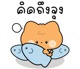โมโมะ แมวเหมียวน่ารัก ติดตลก รูปที่ 18