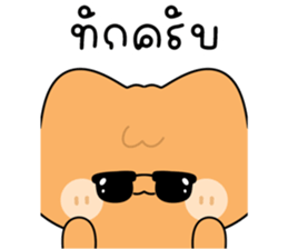 โมโมะ แมวเหมียวน่ารัก ติดตลก รูปที่ 19