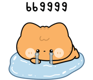 832530164