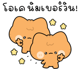 โมโมะ แมวเหมียวน่ารัก ติดตลก รูปที่ 21