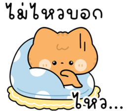 โมโมะ แมวเหมียวน่ารัก ติดตลก รูปที่ 22