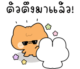 โมโมะ แมวเหมียวน่ารัก ติดตลก รูปที่ 23