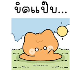 โมโมะ แมวเหมียวน่ารัก ติดตลก รูปที่ 24