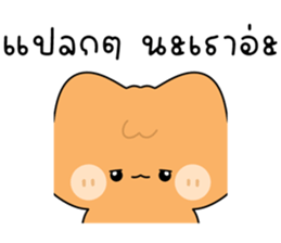 โมโมะ แมวเหมียวน่ารัก ติดตลก รูปที่ 25