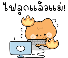 โมโมะ แมวเหมียวน่ารัก ติดตลก รูปที่ 27