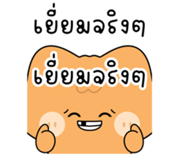 โมโมะ แมวเหมียวน่ารัก ติดตลก รูปที่ 28