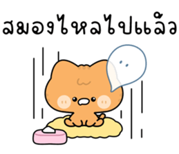 โมโมะ แมวเหมียวน่ารัก ติดตลก รูปที่ 30