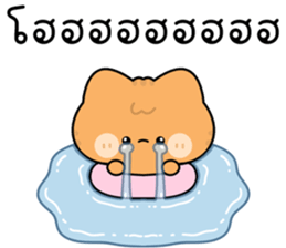 โมโมะ แมวเหมียวน่ารัก ติดตลก รูปที่ 32