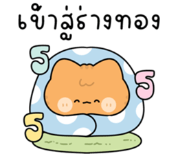 โมโมะ แมวเหมียวน่ารัก ติดตลก รูปที่ 33