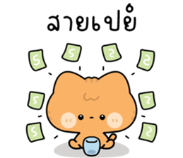 โมโมะ แมวเหมียวน่ารัก ติดตลก รูปที่ 34