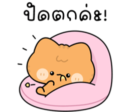 โมโมะ แมวเหมียวน่ารัก ติดตลก รูปที่ 35