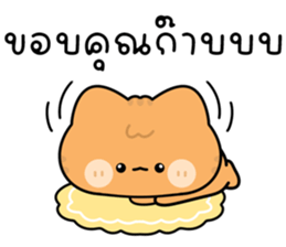 โมโมะ แมวเหมียวน่ารัก ติดตลก รูปที่ 37