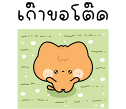 โมโมะ แมวเหมียวน่ารัก ติดตลก รูปที่ 38