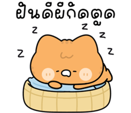 โมโมะ แมวเหมียวน่ารัก ติดตลก รูปที่ 40