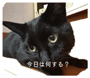 832539029
