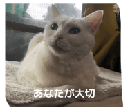 832539038