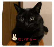 832539039