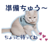 832539608