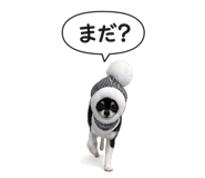 832547261