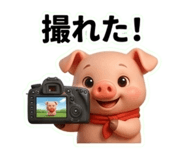 832552450