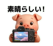 832552466