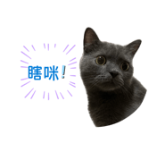 832557924
