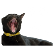 832558000