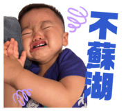 832558541